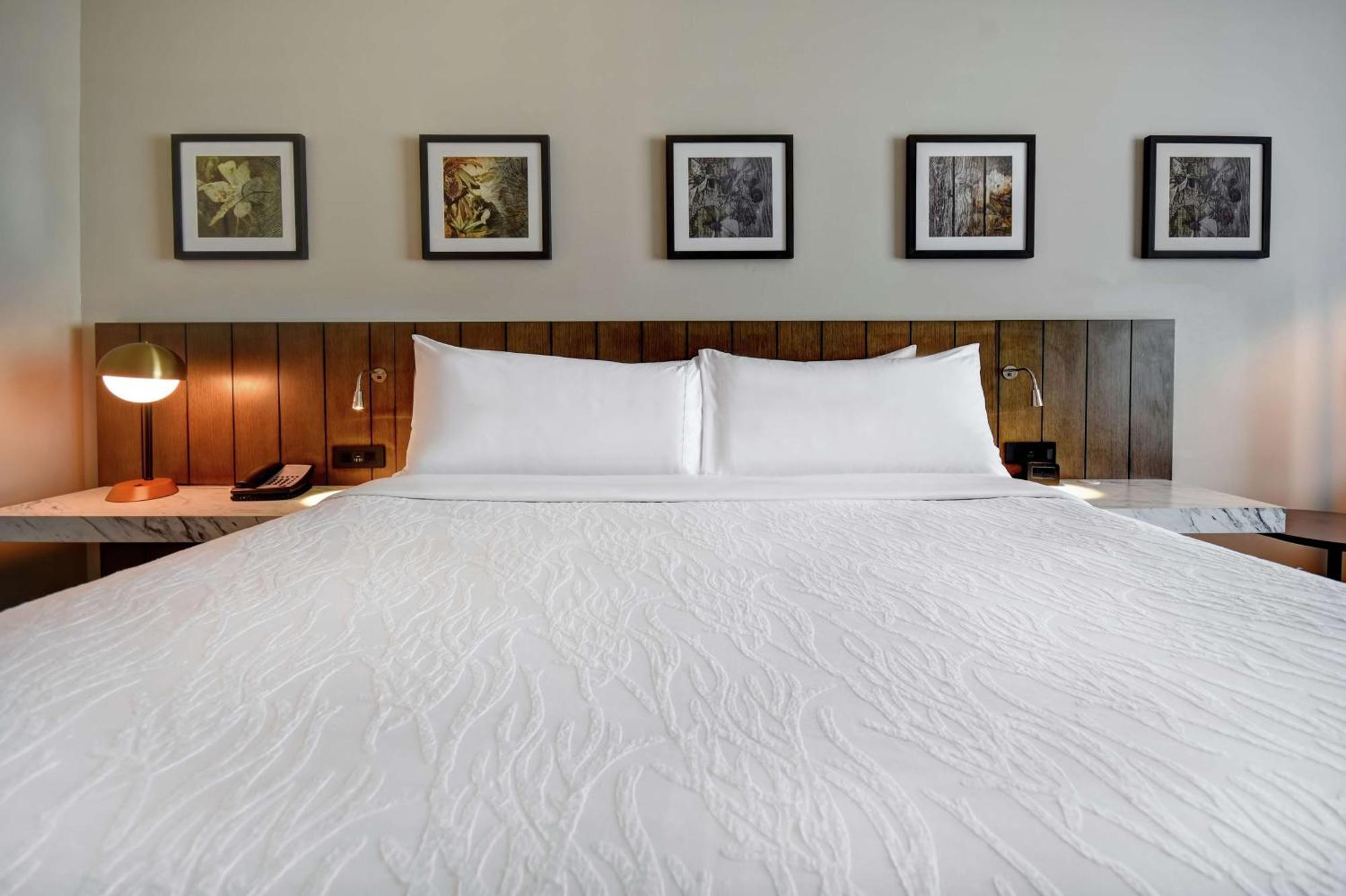 Hilton Garden Inn Jackson Buitenkant foto